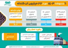 ۱۴۰۳ سالی نویدبخش برای فولاد سنگان