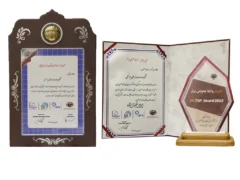 ایرانسل نشان ویژه «روابط عمومی پیشرو هوشمند و دیجیتال» را دریافت کرد
