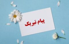 پیام تبریک مدیر عامل شرکت مبین انرژی به مدیریت و کارکنان پتروشیمی پارس