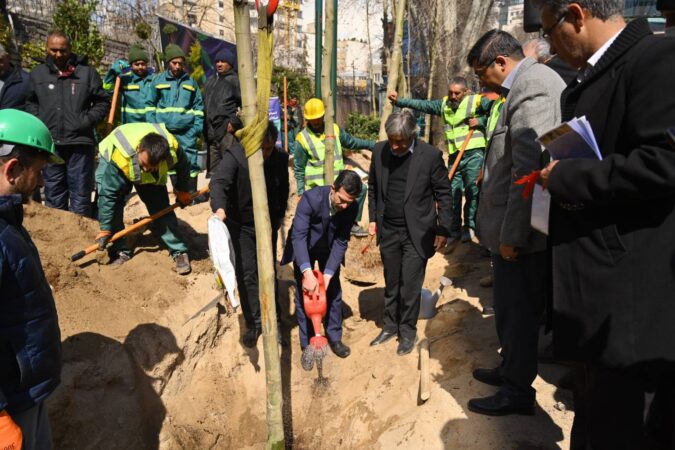 اولین مرحله جایگزینی درختان آسیب دیده و خشک خیابان حضرت ولیعصر (عج) انجام شد اولین مرحله جایگزینی درختان آسیب دیده و خشک خیابان حضرت ولیعصر (عج) انجام شد