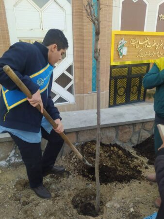 کاشت ۶۰۰ درخت با مشارکت دانشآموزان منطقه یک در پویش نهضت درختکاری کاشت ۶۰۰ درخت با مشارکت دانشآموزان منطقه یک در پویش نهضت درختکاری