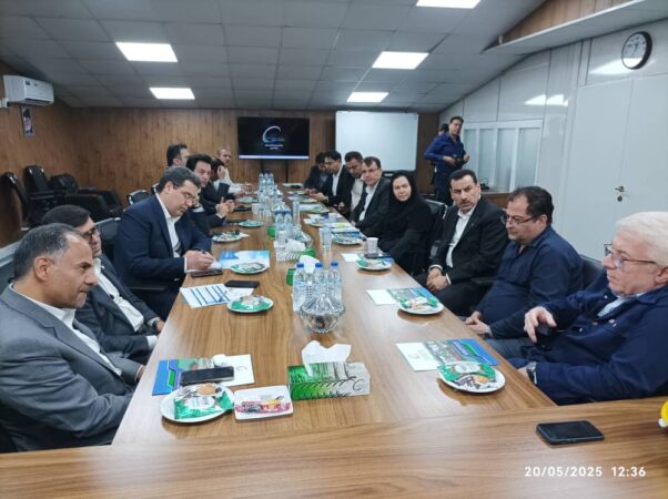 بازدید مدیرعامل بانک تجارت از پروژه الماس ماهشهر بازدید مدیرعامل بانک تجارت از پروژه الماس ماهشهر