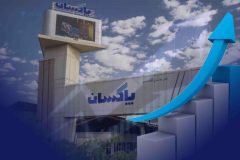 رشد ۴۶ درصدی فروش شش ماهه پاکسان