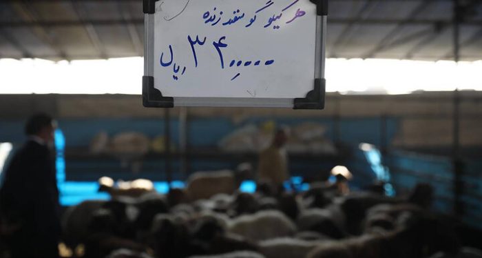 فعالیت ویژه ۳ مرکز عرضه دام زنده بهداشتی در ایام محرم / عرضه دام زنده کیلویی ۳۴۰ هزار تومان در مراکز عرضه دام زنده فعالیت ویژه ۳ مرکز عرضه دام زنده بهداشتی در ایام محرم / عرضه دام زنده کیلویی ۳۴۰ هزار تومان در مراکز عرضه دام زنده