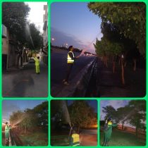 اجرای عملیات آبشویی درختان با هدف کنترل آفات در منطقه ۱۹