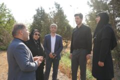 مسقف کردن پارکینگ های عمومی با استفاده از پنل های خورشیدی