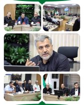 ساختار شبکه ناظرین مردمی شهر تهران باید در مناطق، نواحی و محلات پایتخت توسعه یابد