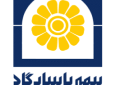 بیمه پاسارگاد، رتبه های تک رقمی، رشدهای دو رقمی