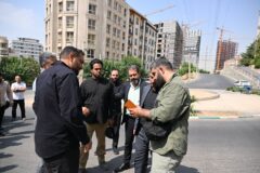اجرای طرح ضربتی پایش و ارتقای امنیت در حریم منطقه یک تهران 