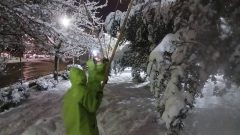 اجرای گسترده عملیات برف‌تکانی درختان و پاکسازی معابر بوستان‌ها در منطقه یک