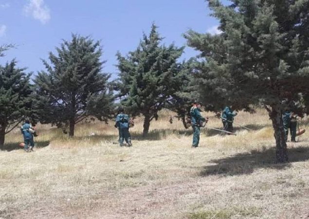 اقدامات پیشگیرانه از آتش‌سوزی در جنگل‌ها و باغات منطقه ۲