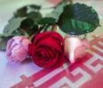 اهدای گل به تعداد شهدای جنگ رمضان در راهپیمایی غدیر 
