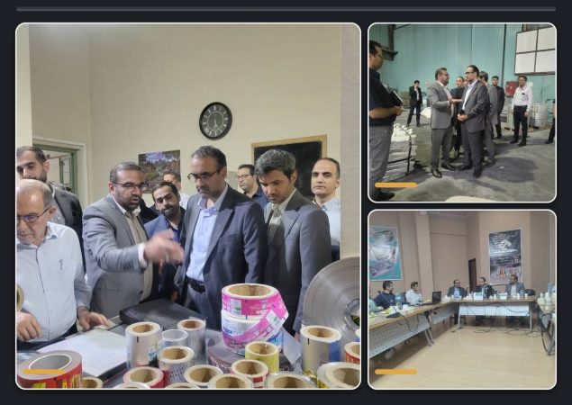 بررسی طرح‌های سرمایه‌گذاری در مجتمع صنایع آلومینیوم هزار